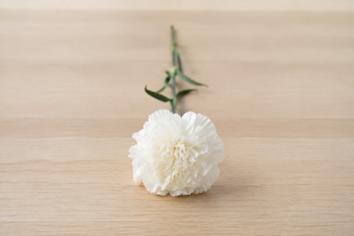 白い一輪の花を無地の献花台へ静かに供える場面のイメージ画像